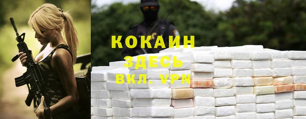 стаф Абинск