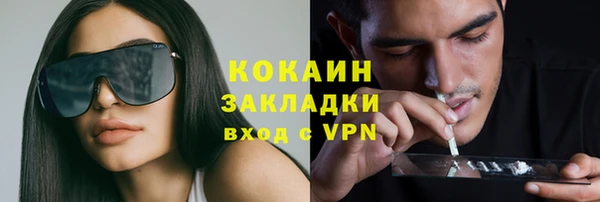 стафф Грязовец