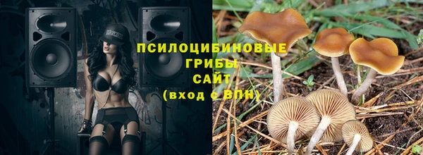 стаф Абинск