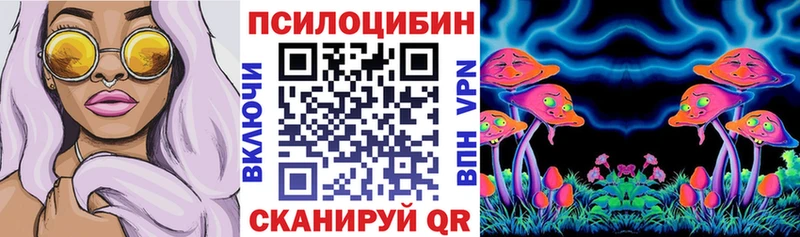 Псилоцибиновые грибы Psilocybe  Княгинино 