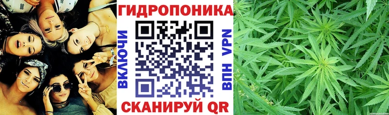 что такое   Княгинино  darknet формула  Конопля индика 